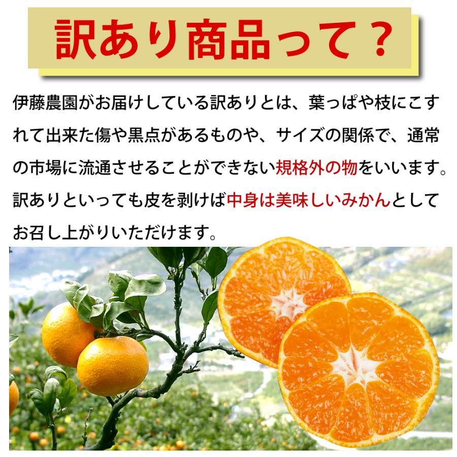 みかん 訳あり 2.5kg 2箱買うと送料無料 3箱買うと1箱分増量 極早生 有田みかん 家庭用 果物 フルーツ 和歌山産 お歳暮