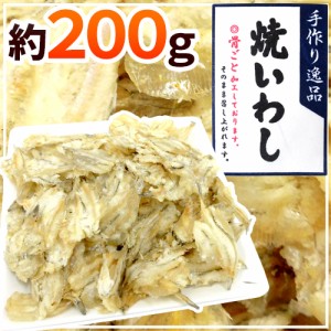 ”おつまみ 焼いわし 約200g” 珍味 炙りイワシ