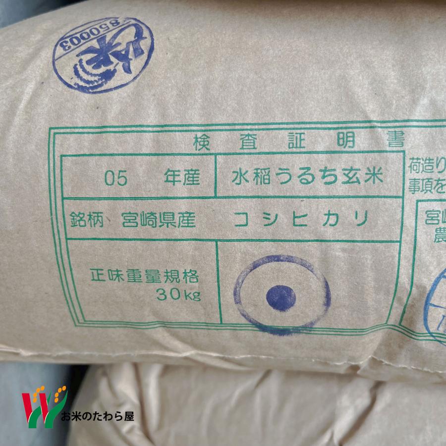 新米 令和5年産 お米 宮崎県産 コシヒカリ 10kg (5kg×2袋)  玄米 白米 7分づき 5分づき 3分づき ご注文後に精米