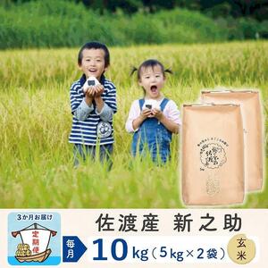  佐渡島産新之助 玄米10Kg