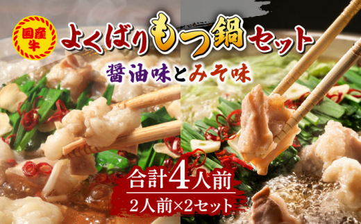 国産牛 よくばりもつ鍋 セット 醤油味2人前みそ味2人前（計4人前）〆はマルゴめん 福岡県産の米粉麺《築上町》[ABCJ035]