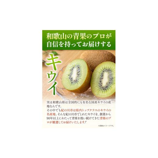 ふるさと納税 和歌山県 紀の川市 キウイ 約3.5kg 岸武青果株式会社《2024年1月中旬-4月中旬頃より順次出荷》 和歌山県 紀の川市 キウイ キウイフルーツ