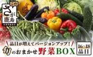 旬のおまかせ野菜BOXセット 16～18品目お届け 冷蔵配送B-690