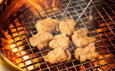 大人気焼肉屋さんのご家庭で簡単！モツ焼き肉セット800g／Amu-02