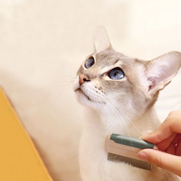 【日本DoggyMan】輕鬆在家做寵物美容 ! BS系列 跳蚤梳/長短距梳