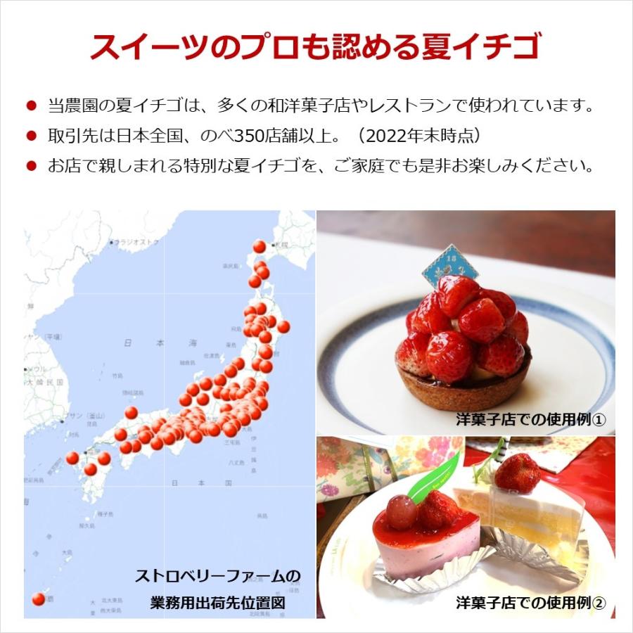 6月〜11月発送 良食味の新しい夏秋イチゴ 無選別 規格外 全サイズ混合 バラ詰め 1kg 秋田県産 なつあかり ご自宅用 ジャム・ソース用