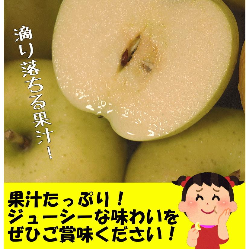 あすつく 青森 りんご 10kg箱 サンはるか 送料無料 家庭用 訳あり 青森 リンゴ 訳あり 10キロ箱★サンはるか 家訳 10kg箱