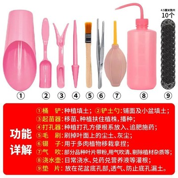 ❄️免運臺灣出貨❄️園藝工具套裝多肉三件套養花盆景種植神器入門新手換土工具一整套