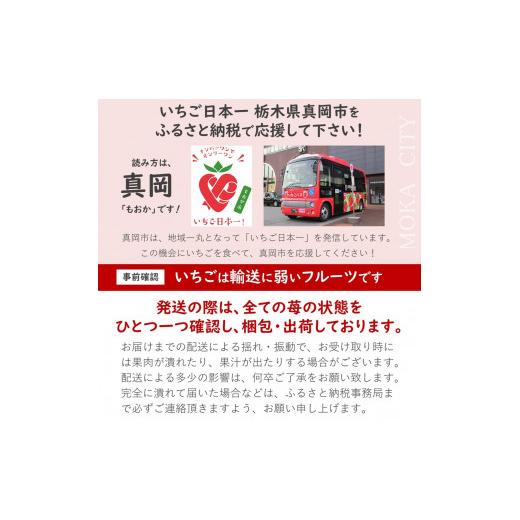 ふるさと納税 栃木県 真岡市 朝採れのいちご とちおとめ 3000g 真岡市 栃木県 送料無料