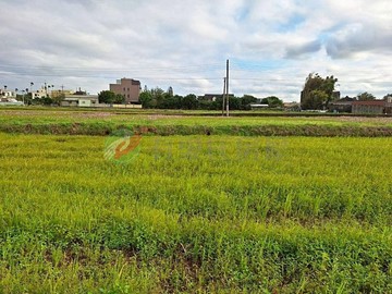 【中壢大崙國中農地+建地】近桃園高鐵｜桃園市中壢區山上段