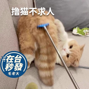🔥毛老大.隔日達🔥撸貓神器 撸貓不求人 逗貓玩具 接近貓神器 貓按摩 貓不理人法寶