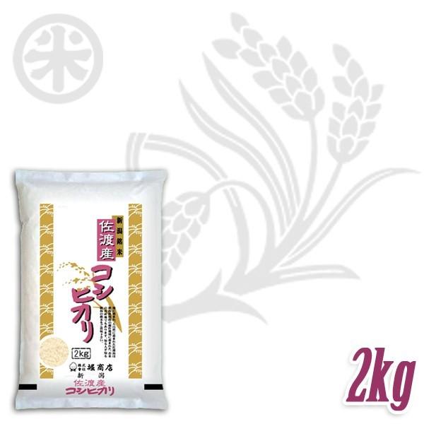 [新米 令和5年産] 佐渡産コシヒカリ 厳選産地米 2kg (2kg×1袋) 新潟米 お米 白米 新潟県産 こしひかり 送料無料 ギフト対応