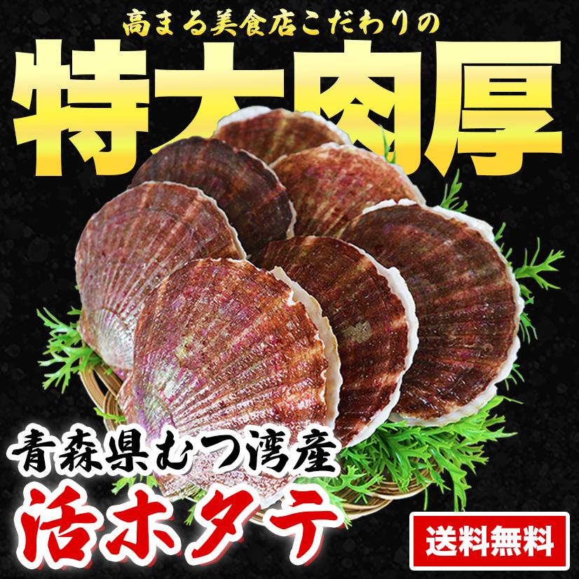 ほたて 3kg 活ほたて 青森 3kg  ほたて 貝柱 活ホタテ