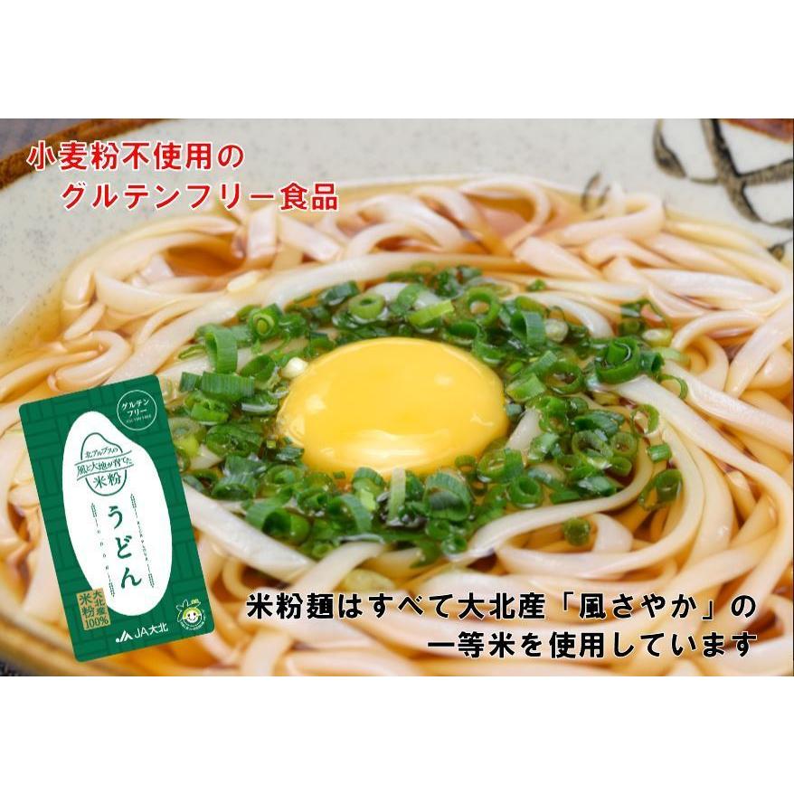 グルテンフリー米粉うどん（グルテンフリーつゆ付）（２食入り）米粉麺