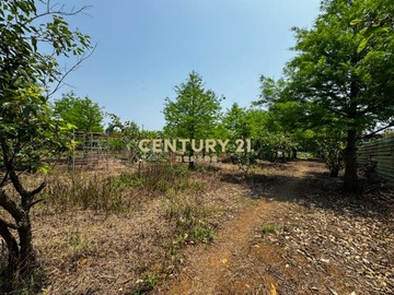 龍潭龍路旁 757坪美農地｜桃園市龍潭區成功段