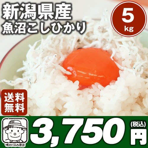 令和５年産　新潟魚沼コシヒカリ 5kg　送料込み　こしひかり日本一産地 ※北海道、沖縄及び離島は別途発送料金が発生します