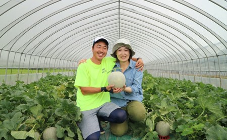 先行受付 北海道 富良野産「しあわせのメロン」赤肉大玉×1玉 約2.3kg(ウエノ農園 富良野)