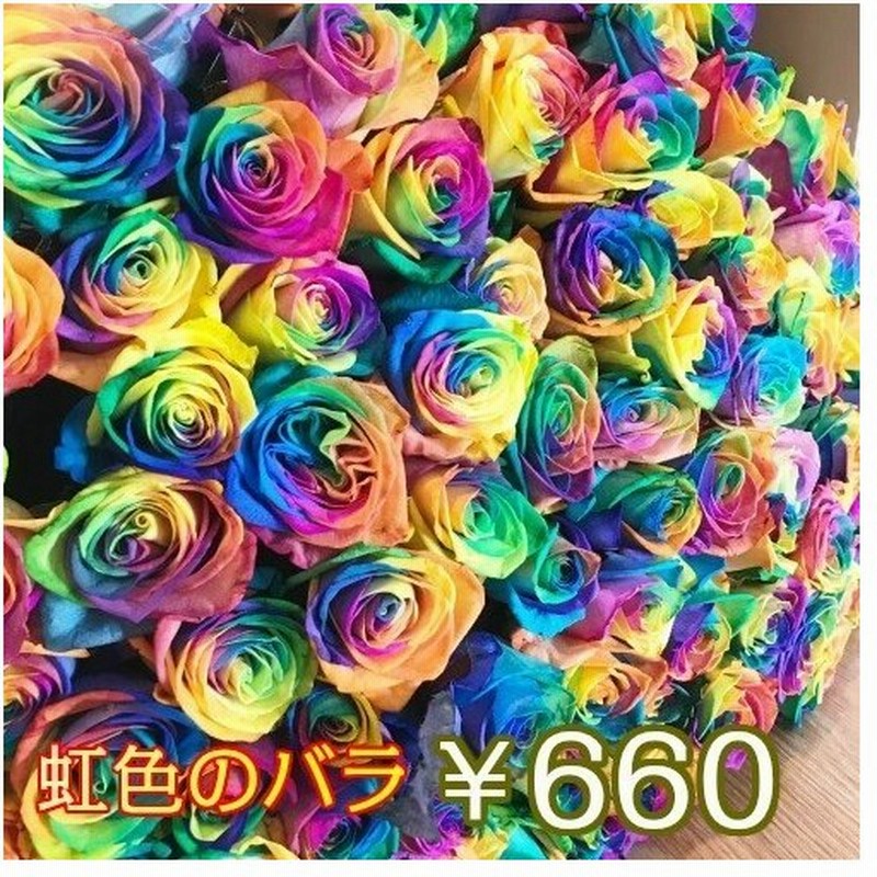 バラ 10本から 選べる本数 レインボー 花 プレゼント ギフト 誕生日 女性 花束 ブーケ 贈り物 薔薇 おしゃれ 結婚 男性 ウェディング プロポーズ 生花 母の日 通販 Lineポイント最大0 5 Get Lineショッピング