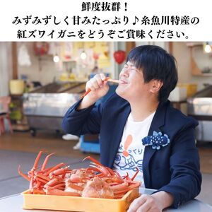 日本海直送！『浜茹で』紅ズワイガニ×5杯 新鮮なベニズワイガニをお届けします 紅ずわいがに 姿 新潟県糸魚川 マリンドリーム能生のカニ屋横丁からお届け！