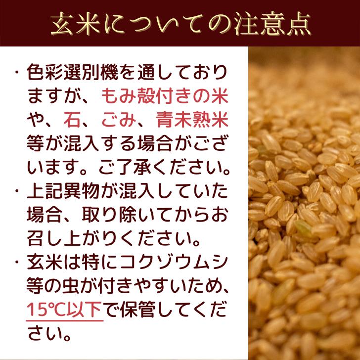 新米 5年産 米 新潟 コシヒカリ 玄米 30kg コシヒカリ 通販 こしひかり 玄米 30kg 減農薬 農家 直送 生産者 コシヒカリ 新潟県産 精米サービス