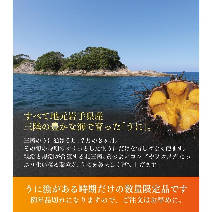 塩うに60g×2本入 北三陸岩手直送！昔ながら塩とムサラサキウニのみで仕上げた逸品 塩うに 紫ウニ 無添加