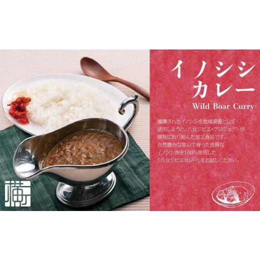 ふるさと納税 福岡県 八女市 福岡・八女　食べくらべご当地カレーセット（４食セット）