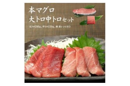 本マグロ大トロ中トロセット350g　解凍レシピ付　1サクずつ真空包装