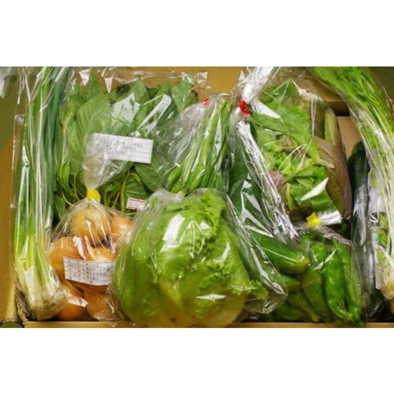 無肥料・無農薬栽培の野菜・果物（野菜の少ない時期は加工品も）のセット（3回分） (金曜日（毎週３回発送）)