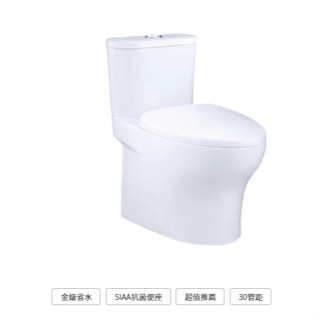 二段式單體省水馬桶 CF1394 CF1494 噴射漩渦式