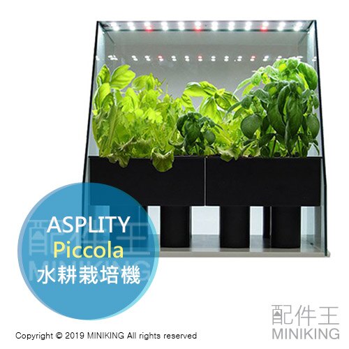 日本代購 空運 ASPLITY Piccola 家用 水耕栽培機 水耕機 種菜機 LED 蔬菜 栽培