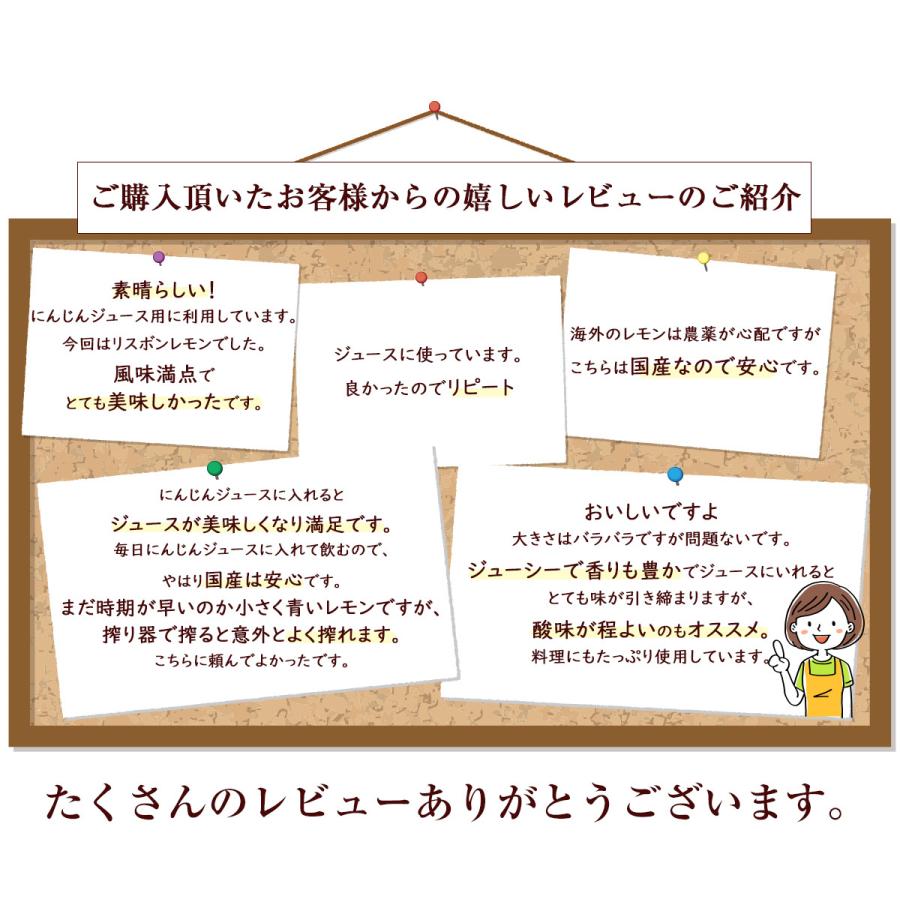 レモン 国産レモン 500g 佐賀県産 訳あり 特別栽培農産物 防腐剤防かび剤不使用 ゲルソン療法にも最適