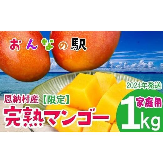 ふるさと納税 沖縄県 恩納村 2024年発送完熟マンゴー 1kg（2〜3玉） ご家庭用 おんなの駅（恩納村産）