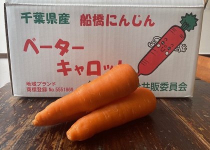 船橋にんじんポタージュ 3袋セット（180ｇ×3袋）(K63)