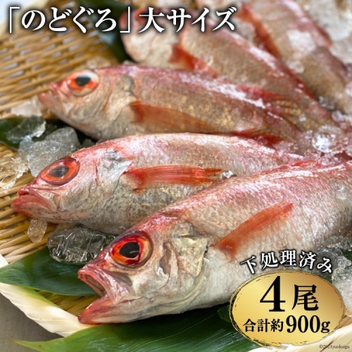 CF090「のどぐろ」大サイズ（200～250g） 4尾　＜煮付け・塩焼き用＞