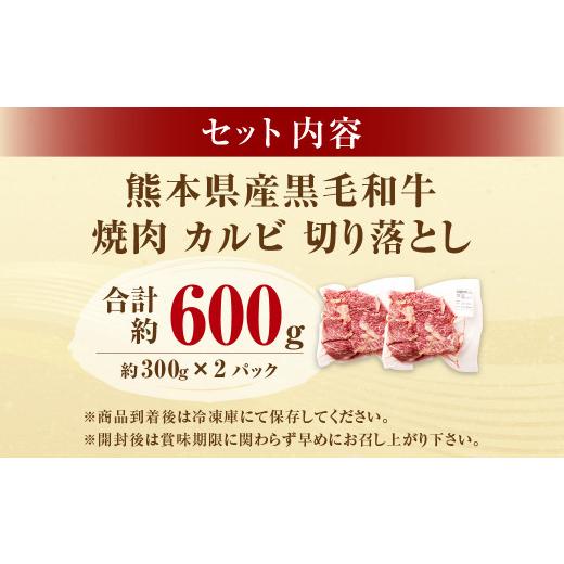 ふるさと納税 熊本県 水俣市 熊本県産黒毛和牛 焼肉 カルビ 切り落とし 約600g(300g×2パック)牛肉 肉