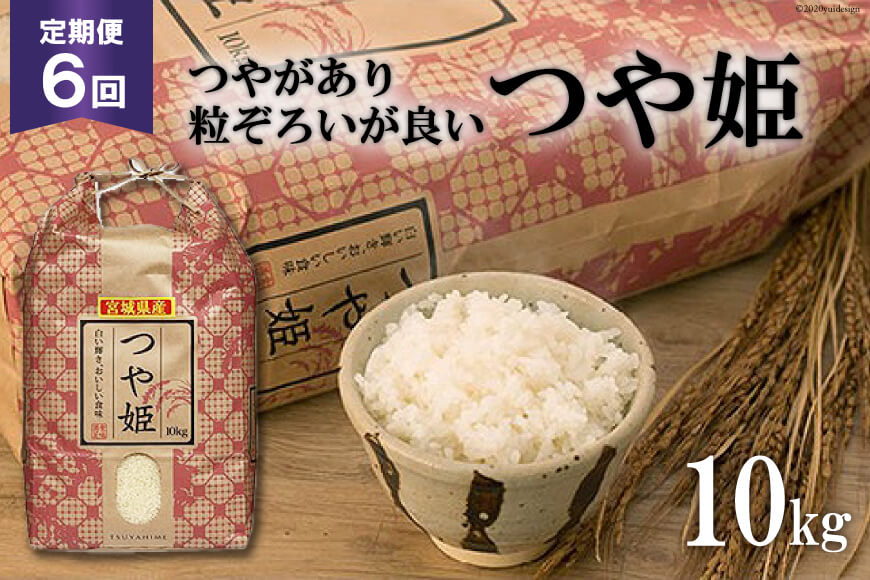 お米 6回 定期便 宮城産 つや姫 10kg×6回 総計60kg [菊武商店 宮城県 気仙沼市 20562737]