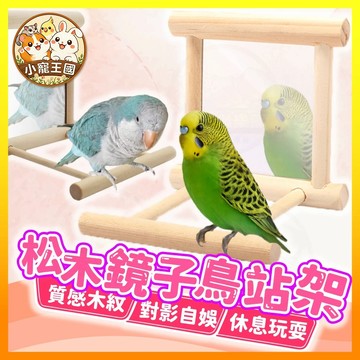 【小寵王國】松木鏡子鳥站架 鳥站架 鳥休息站架 鸚鵡站架 鳥啄站架 鳥用品 鳥類用品 鳥籠造景 鳥籠布景 鳥玩具