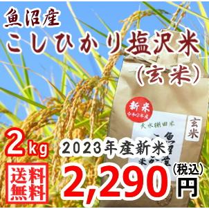 送料無料（令和5年新米） 南魚沼産 コシヒカリ 塩沢米 玄米 2kg 産地直送 新米 魚沼産 こしひかり