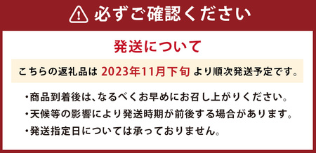 福岡産 あまおう いちご 約250～270g×2パック 大粒