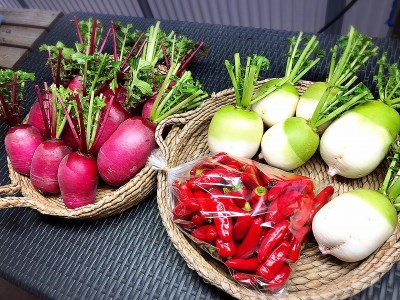 西洋野菜と季節の鹿児島野菜セット（4～6人ご家族用）