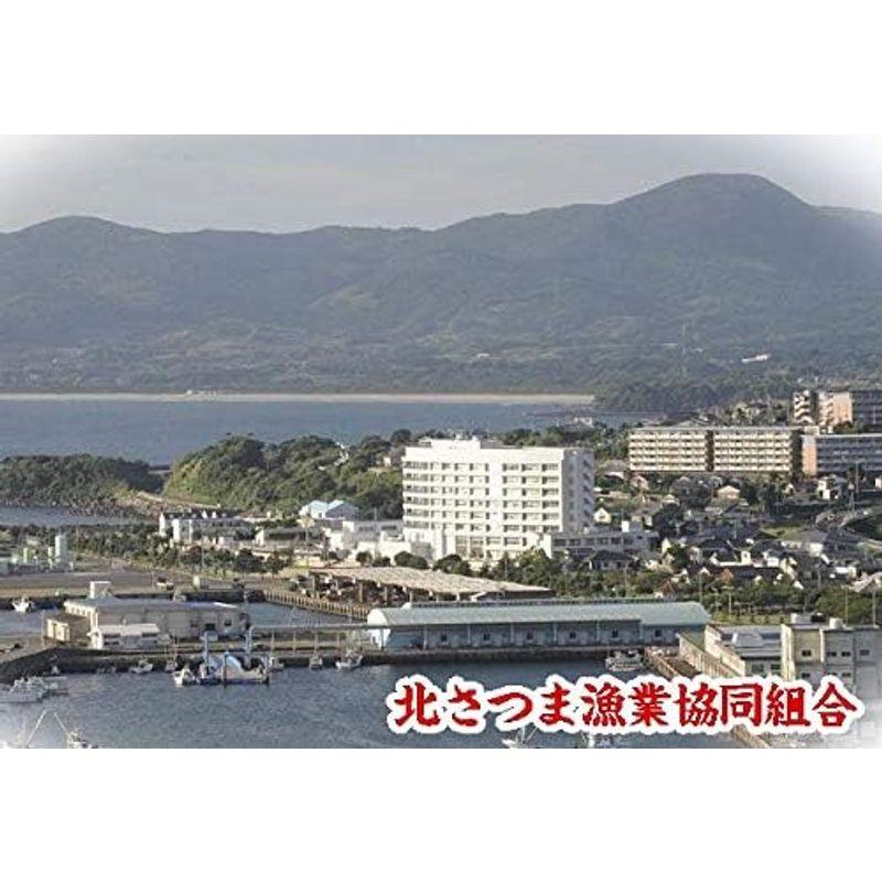 内富海苔店 出水産焼のり手巻きサイズ半切2切れ200枚 鹿児島県北さつま漁業協同組合