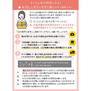 ふるさと納税 極上品大玉・さくらんぼ 2L〜3L一段並 約500g／毎日農業記録賞・全国最優秀賞受賞 山梨県北杜市