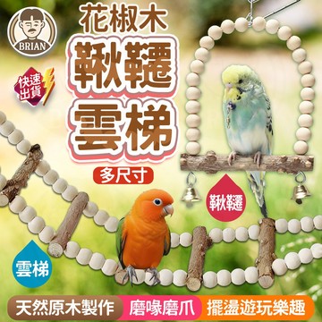 花椒木鞦韆雲梯【布萊恩👨🏻隔日到貨】花椒木鞦韆 花椒木雲梯 鳥用鞦韆 鳥用雲梯 鸚鵡站台 鳥類站台 鸚鵡鞦韆 鳥類造景