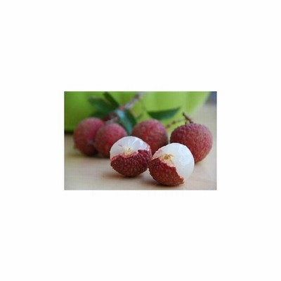 冷凍ライチ 皮なし種抜き 3kg 500 6 ライチ果肉 ベトナム産 安心の国内リパック品 消費税込み Kouhinshitsu ライチ Egginselectrical Com Au