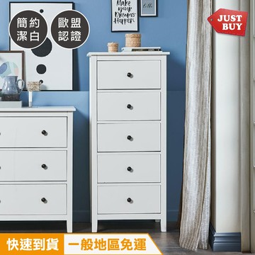 一般地區免運justbuy霍爾森斯經典北歐五抽屜斗櫃 hr0008