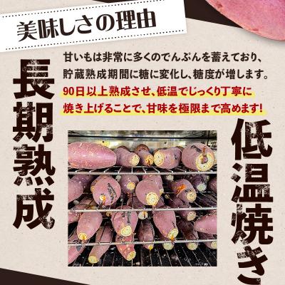 ふるさと納税 鹿児島市 畑の金貨 焼き芋 紅はるか 1kg　K181-002_01