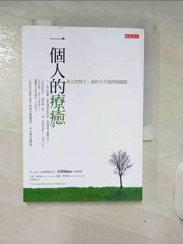 【書寶二手書T1／心靈成長_AVO】一個人的療癒_約翰詹姆斯