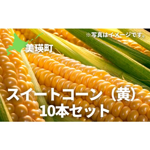 ふるさと納税 北海道 美瑛町 ≪令和６年産！≫美景農園　スイートコーン（黄）10本[012-128]