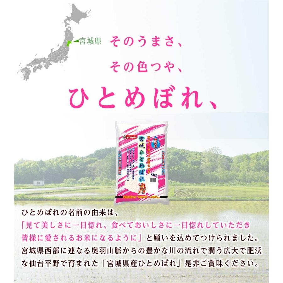 無洗米 5kg 米 ひとめぼれ 宮城県産 お米 米5kg 無洗米 5キロ 送料無料 米無洗米 白米 精米 おこめ 宅配 送料無 安い 格安 生活応援 令和5年産 新米 単一原料米