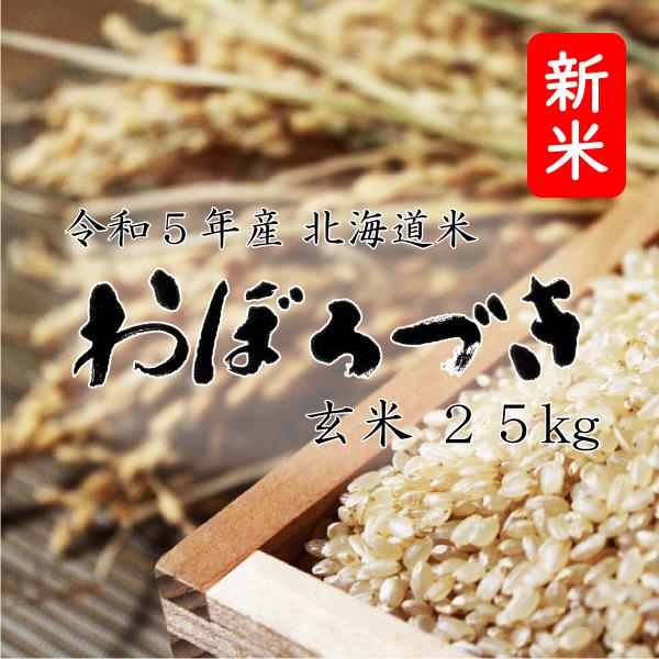 新米 米25kg お米 北海道米 おぼろづき 玄米 25kg 5kg×5 令和５年産 送料無料